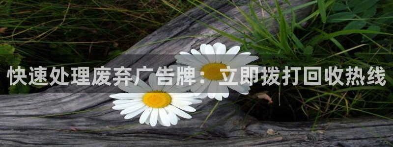 杏宇平台登录步骤