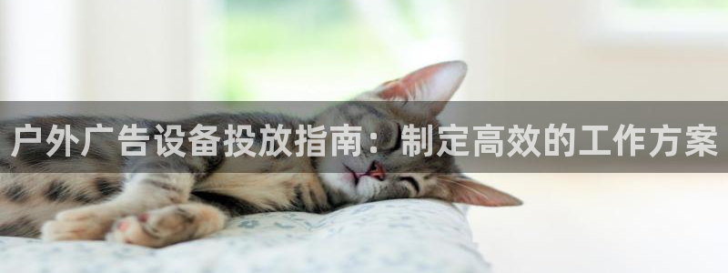 杏宇平台代理怎么赚钱快
