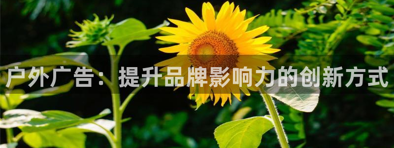 杏宇平台代理多少钱一次：户外广告：提升品牌影响力的创新方式