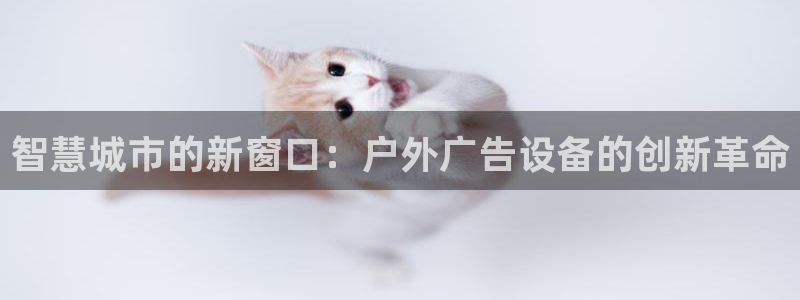 杏宇平台代理多少钱