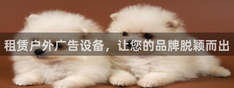杏宇平台代理怎么赚钱快