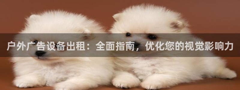 杏宇平台注册地址在哪里：户外广告设备出租：全面指南，优化您的视觉影响力