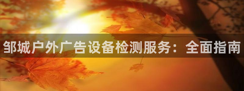 杏宇官方平台官网：邹城户外广告设备检测服务：全面指南