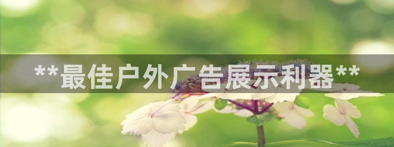 杏宇平台官网注册