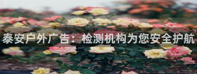 杏宇平台代理怎么赚钱