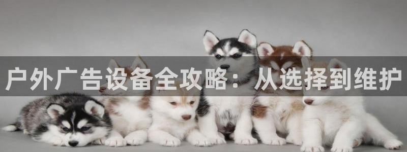 杏宇平台代理怎么样