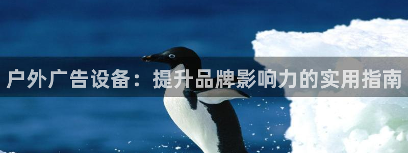 杏宇代理注册