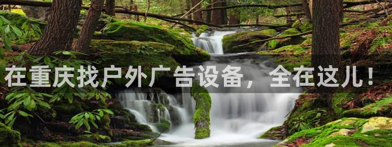 杏宇平台代理