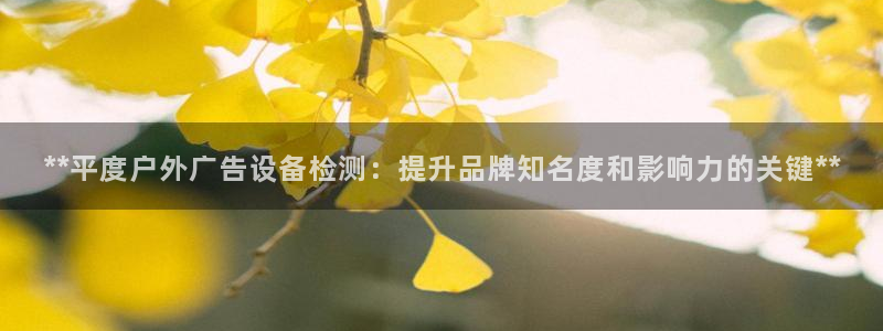 杏宇平台注册地址在哪里：**平度户外广告设备检测：提升品牌知名度和影响力的关键**