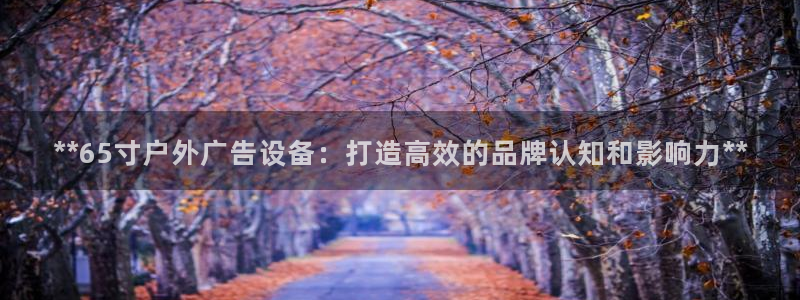 杏宇平台代理多少钱一个月