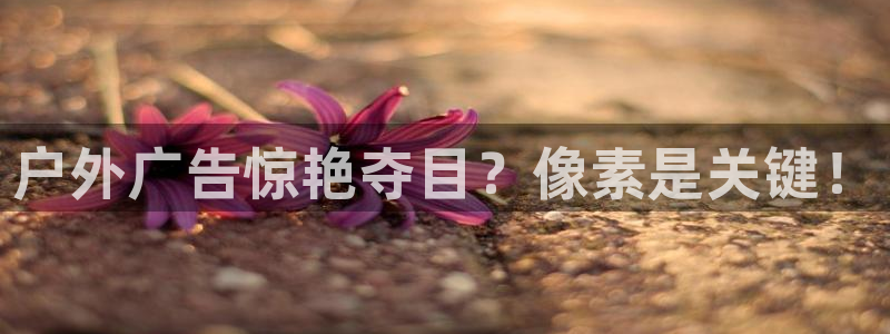 杏宇平台代理