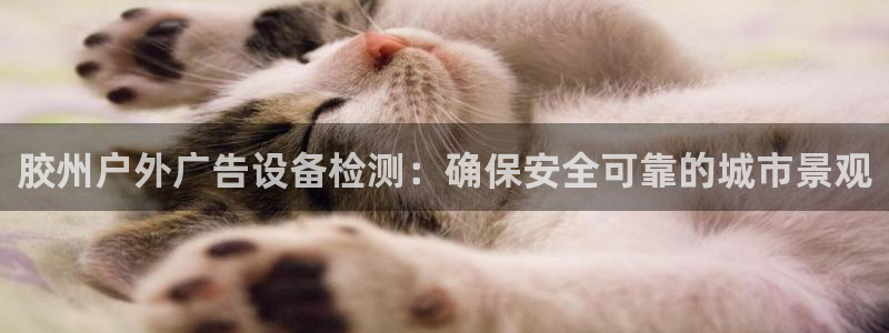 杏宇平台开户：胶州户外广告设备检测：确保安全可靠的城市景观