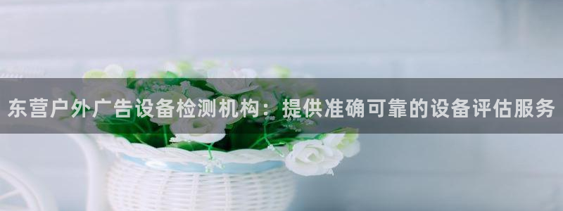 杏宇官方平台官网：东营户外广告设备检测机构：提供准确可靠的设备评估服务
