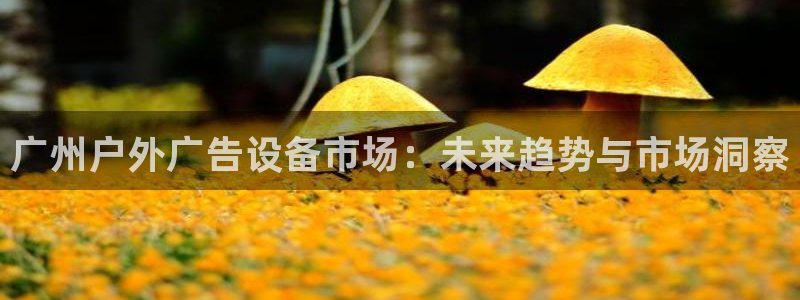 杏宇平台登录步骤是什么：广州户外广告设备市场：未来趋势与市场洞察