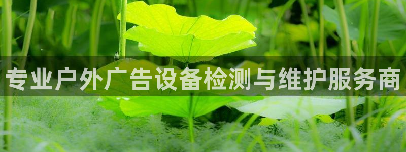 杏宇平台代理怎么样赚钱：专业户外广告设备检测与维护服务商