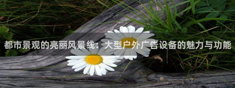 杏宇官方平台官网入口：都市景观的亮丽风景线：大型户外广告设备的魅力与功能