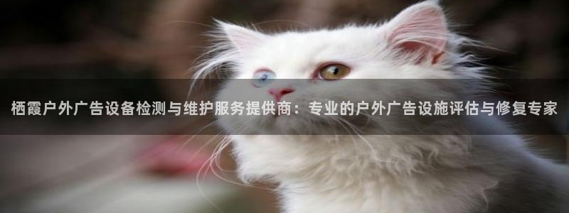 杏宇平台代理多少钱一个月：栖霞户外广告设备检测与维护服务提供商：专业的户外广告设施评估与修复专家