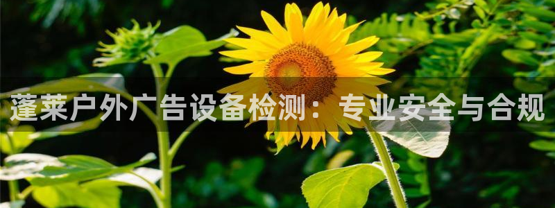 杏宇平台客服：蓬莱户外广告设备检测：专业安全与合规