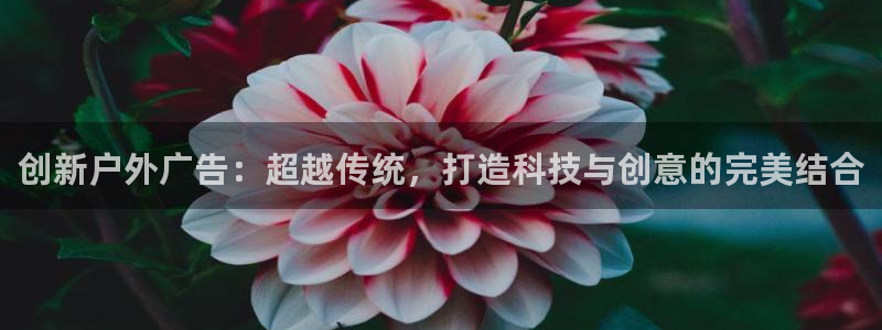杏宇代理注册：创新户外广告：超越传统，打