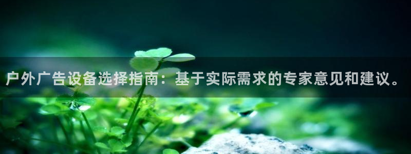 杏宇平台招商：户外广告设备选择指南：基于实际需求的专家意见和建议。