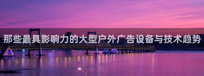 杏宇平台登录步骤：那些最具影响力的大型户