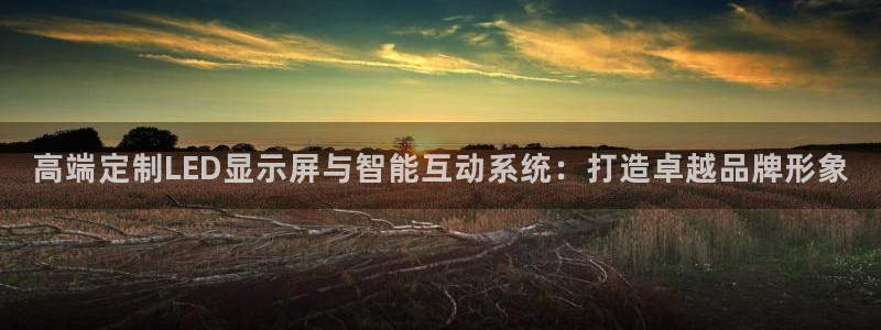 杏宇平台招商：高端定制LED显示屏与智能互动系统：打造卓越品牌形象