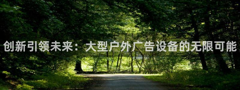 杏宇平台怎么样知乎：创新引领未来：大型户