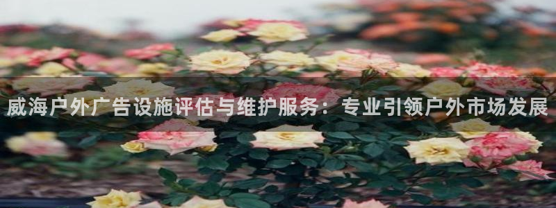 杏宇平台登录步骤是什么：威海户外广告设施评估与维护服务：专业引领户外市场发展