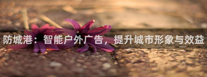 杏宇平台招商怎么样：防城港：智能户外广告
