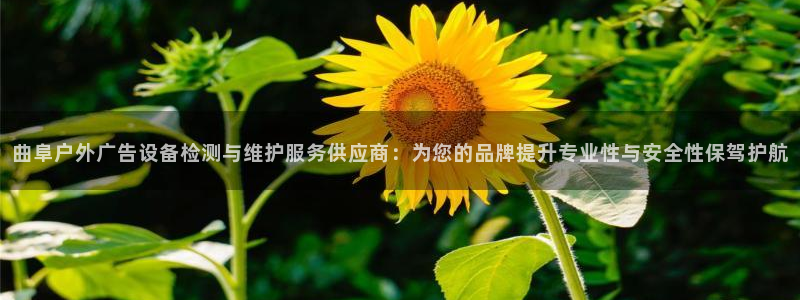 杏宇平台总代理：曲阜户外广告设备检测与维护服务供应商：为您的品牌提升专业性与安全性保驾护航