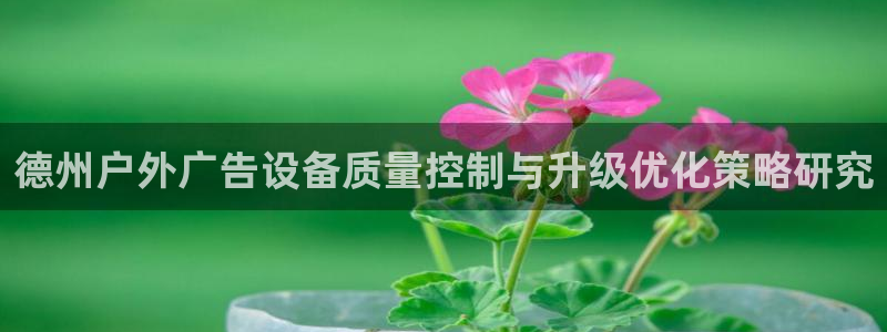 杏宇平台代理多少钱一个：德州户外广告设备质量控制与升级优化策略研究