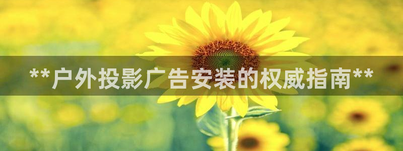 杏宇平台客服：**户外投影广告安装的权威指南**