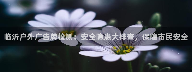 杏宇平台官网注册