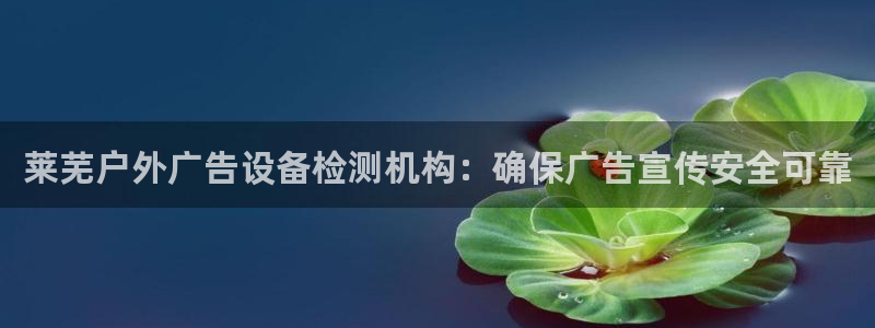 杏宇平台登录步骤：莱芜户外广告设备检测机