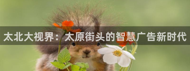 杏宇平台招商电话号码