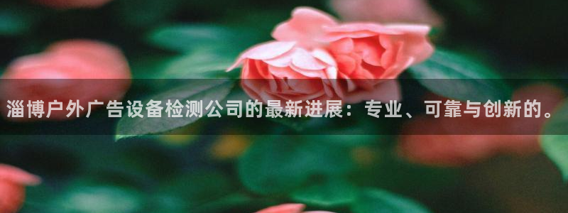 杏宇平台注册地址在哪里：淄博户外广告设备检测公司的最新进展：专业、可靠与创新的。