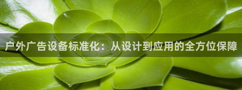 杏宇官方平台官网入口：户外广告设备标准化：从设计到应用的全方位保障