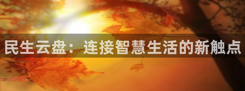 杏宇平台是什么：民生云盘：连接智慧生活的新触点