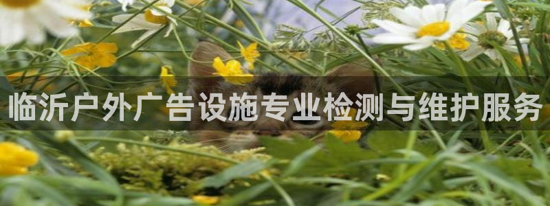 杏宇平台登录步骤是什么：临沂户外广告设施专业检测与维护服务