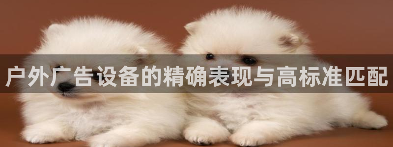 杏宇官方平台官网入口：户外广告设备的精确表现与高标准匹配