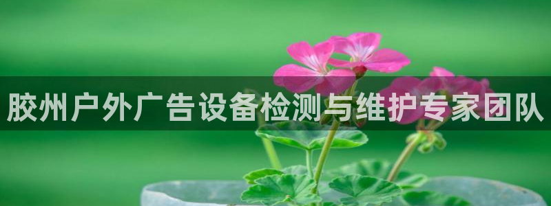 杏宇平台代理怎么赚钱：胶州户外广告设备检