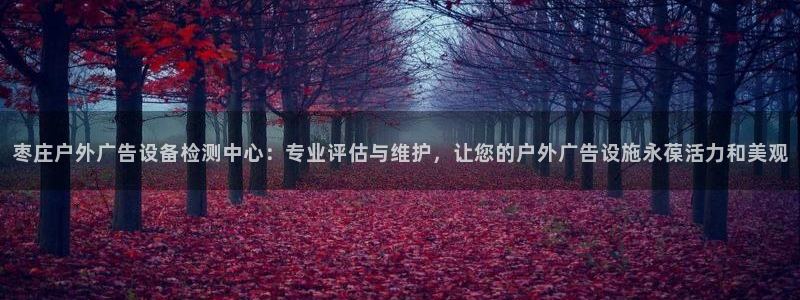 杏宇官方平台官网：枣庄户外广告设备检测中