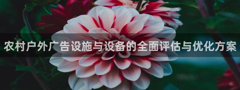 杏宇平台登录步骤是什么：农村户外广告设施