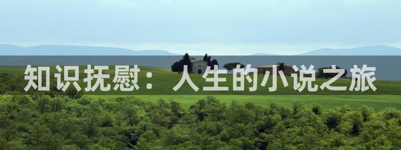 我免费小说：知识抚慰：人生的小说之旅