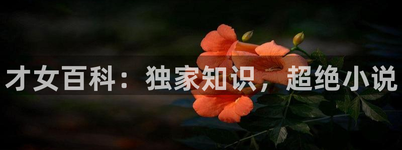 么免费小说：才女百科：独家知识，超绝小说