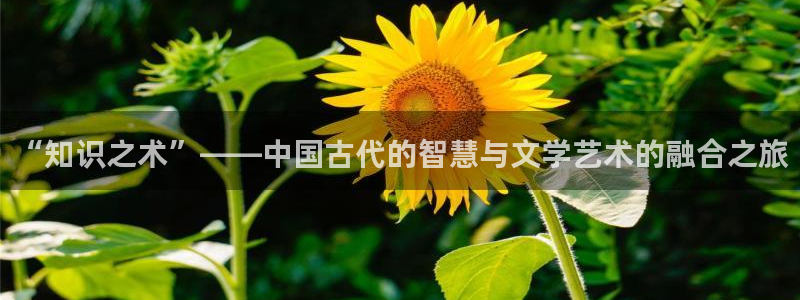 下载全本免费小说大全：“知识之术”——中国古代的智慧与文学艺术的融合之旅