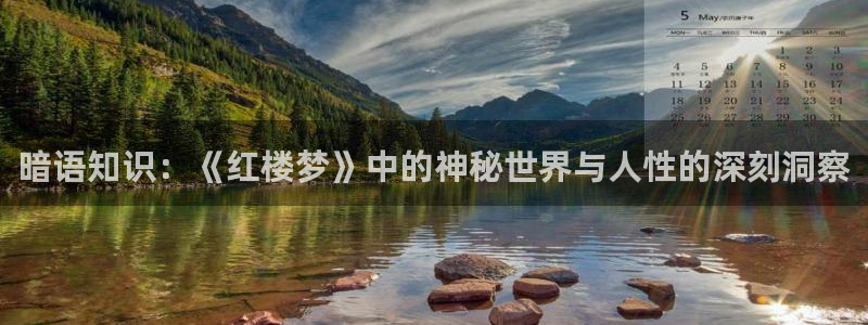 有为免费小说：暗语知识：《红楼梦》中的神秘世界与人性的深刻洞察