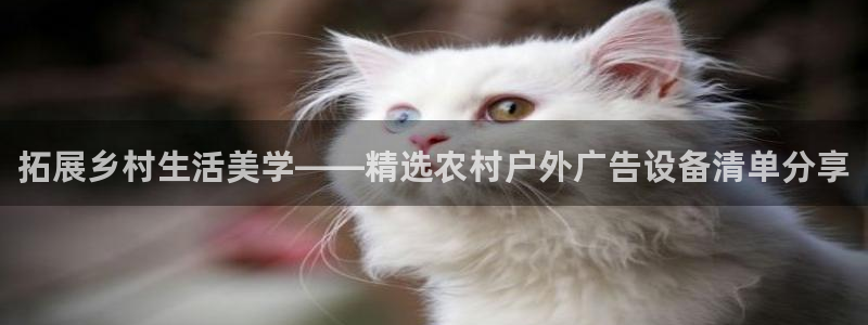 杏宇平台怎么样赚钱：拓展乡村生活美学——精选农村户外广告设备清单分享