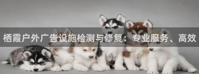 杏宇平台代理：栖霞户外广告设施检测与修复：专业服务、高效