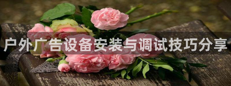 杏宇平台代理怎么赚钱快